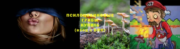 твердый Коряжма