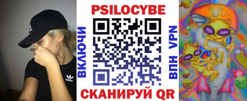 Галлюциногенные грибы Cubensis  Малгобек 